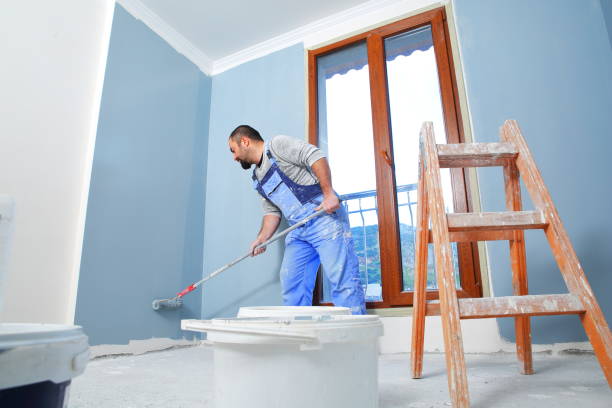 Best Mold Odor Removal Services  in Cienega Springs, AZ