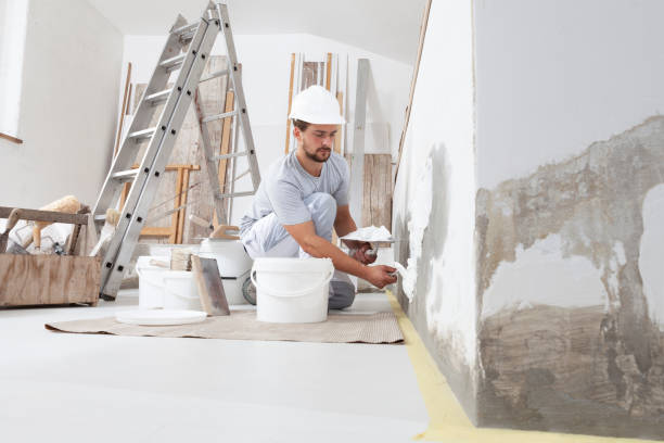 Best Post-Construction Mold Inspection  in Cienega Springs, AZ