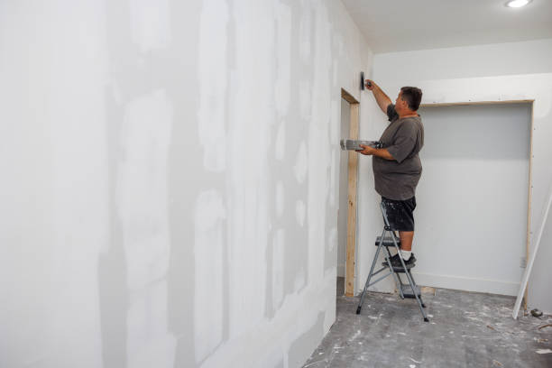 Best Asbestos and Lead Testing During Mold Inspection  in Cienega Springs, AZ