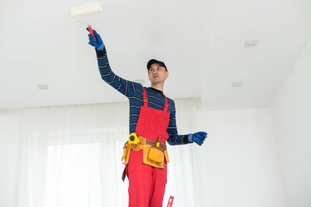 Best Mold Removal for HVAC Installations  in Cienega Springs, AZ