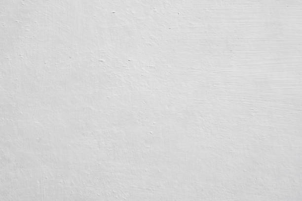 Mold Remediation for Vacation Homes in Cienega Springs, AZ