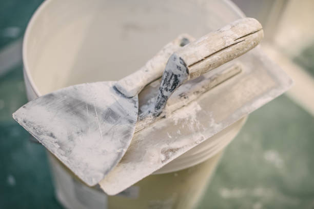 Best Environmental Consulting for Mold Prevention  in Cienega Springs, AZ