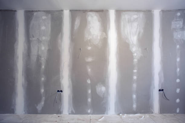Best Emergency Mold Remediation  in Cienega Springs, AZ